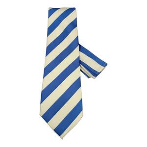 MEN'S ST. PATRICK  ROYAL/WHITE DIAGONAL STRIPE TIE AND POCKET SQUARE SET.